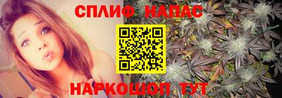 дживик Будённовск