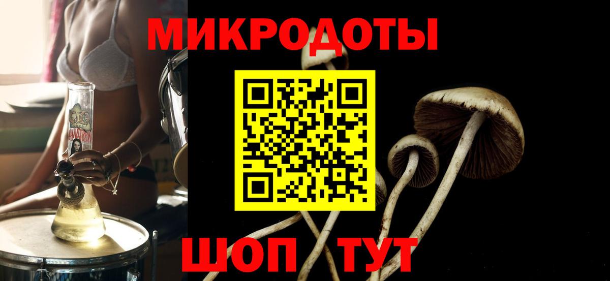 купить наркотик  Вход с VPN  Менделеевск  Галлюциногенные грибы Psilocybine cubensis 